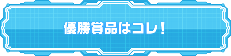 優勝賞品はコレ！